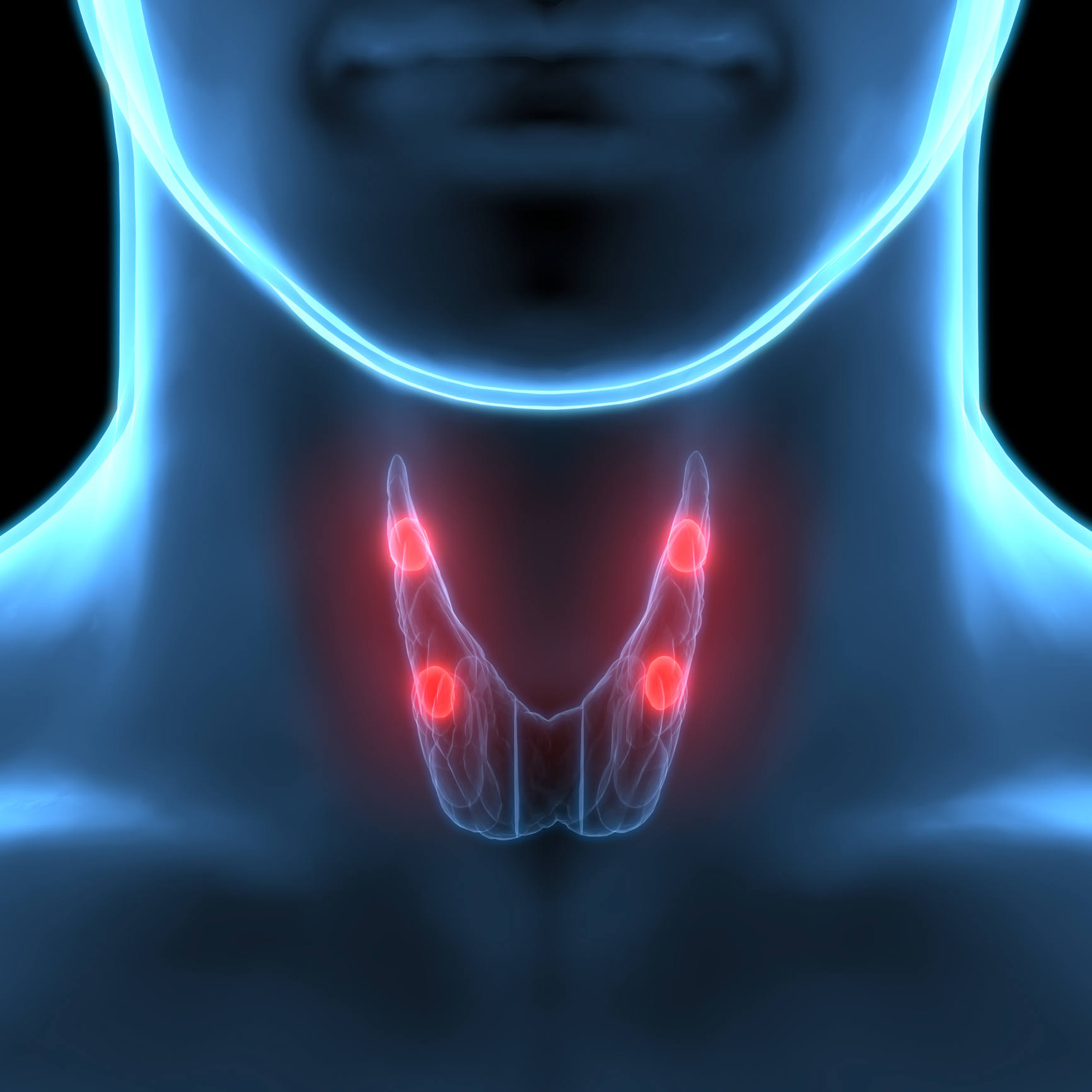 Снимок щитовидной железы