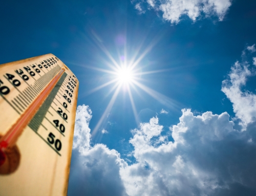 Don’t Sweat It! – Tips for Renal Patients During Summer Heat